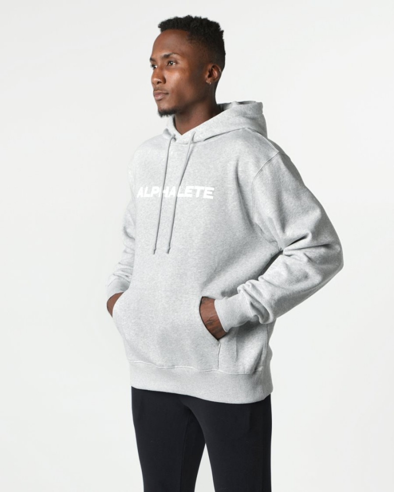 Alphalete Core Hoodie Miesten Huppari Harmaat | LOVTQ-6074
