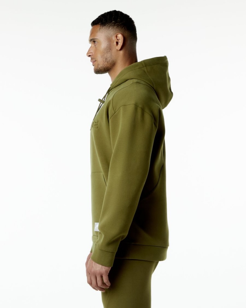 Alphalete ELMTS Hoodie Miesten Huppari Moss | IWRKG-1359