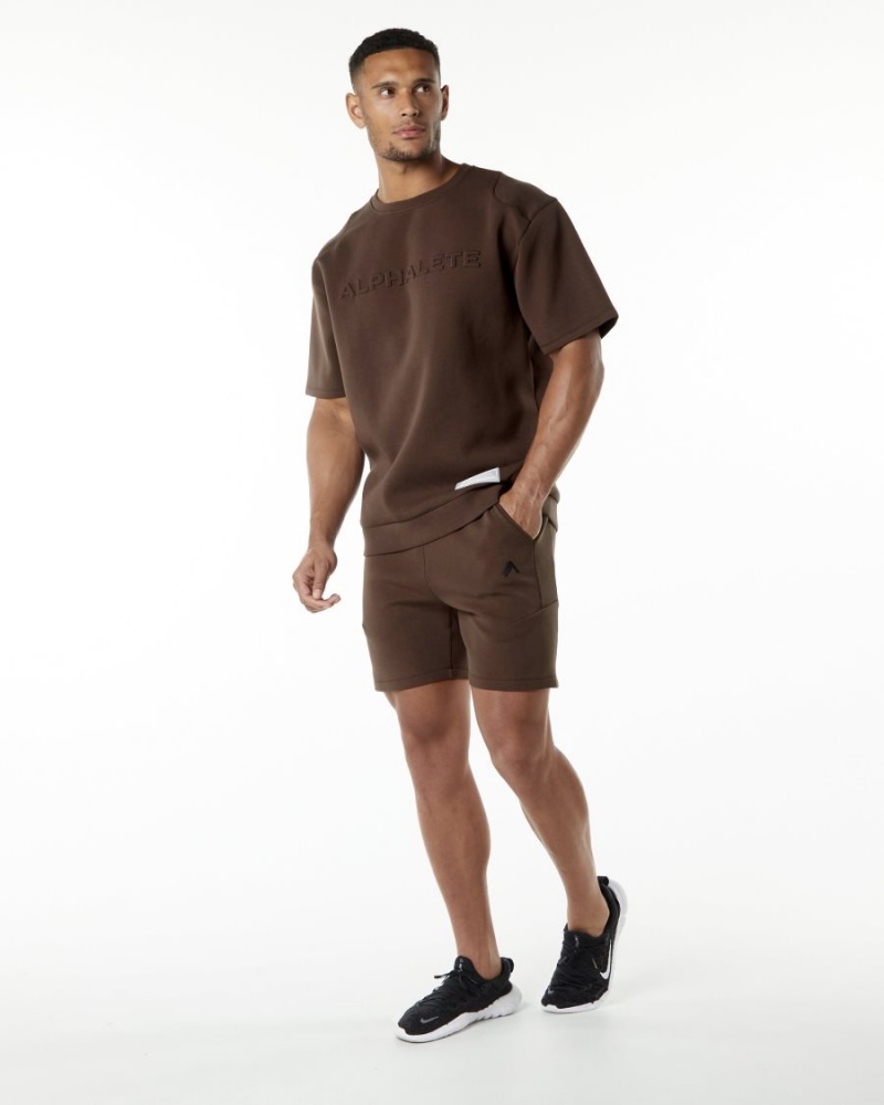 Alphalete ELMTS Urheilulliset Lyhyt 6" Miesten Shortsit Ruskea | WIDFA-7635