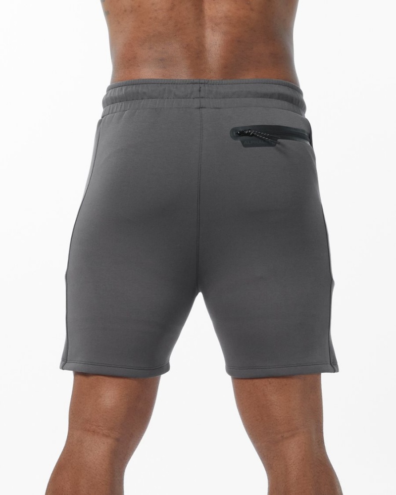 Alphalete ELMTS Urheilulliset Lyhyt 6" Miesten Shortsit Charcoal | QFVEW-3642