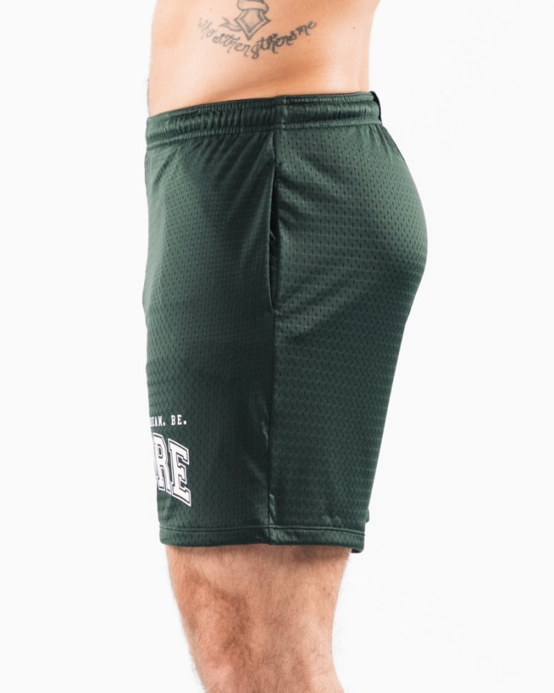 Alphalete LDB More Mesh Lyhyt 6" Miesten Shortsit Evergreen | BRVSX-4823