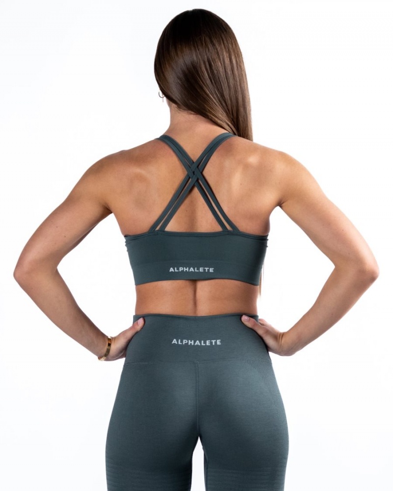 Alphalete Revival Bra Naisten Urheiluliivi Charcoal | OHUSC-0923