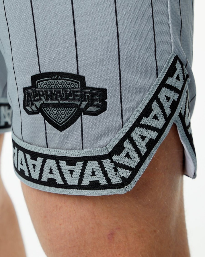 Alphalete Varsity Basketball Lyhyt 9" Miesten Shortsit Harmaat | NUKER-7428