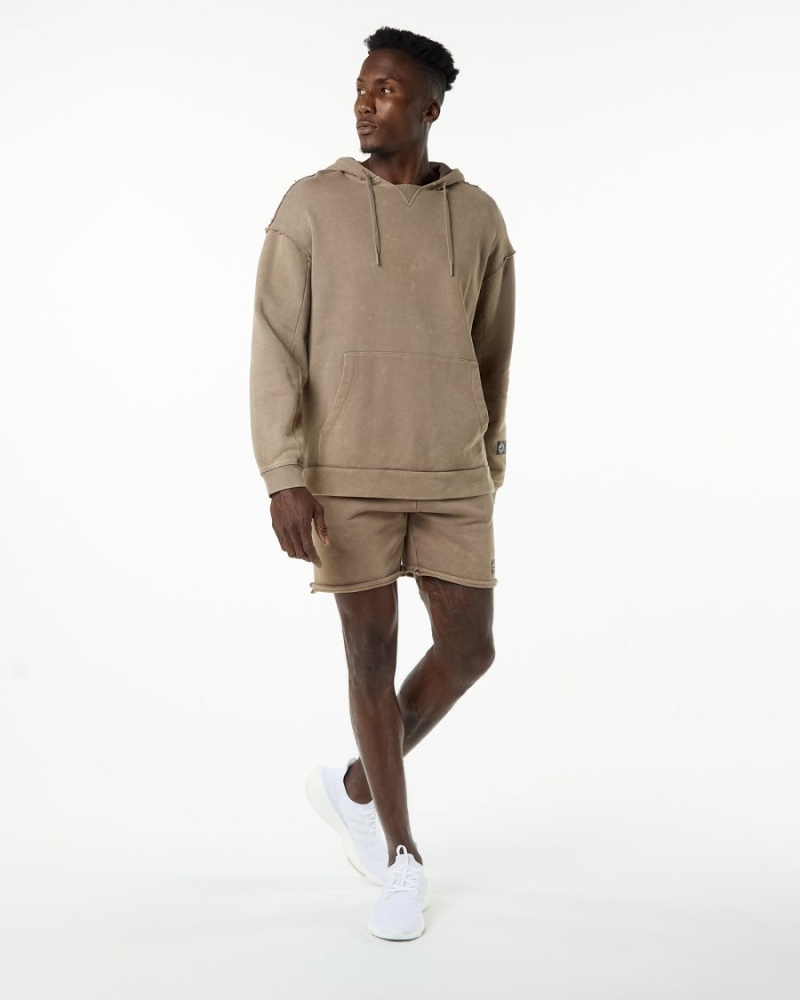 Alphalete Very Terry Hoodie Miesten Huppari Smokey Quartz | FHNWO-4390